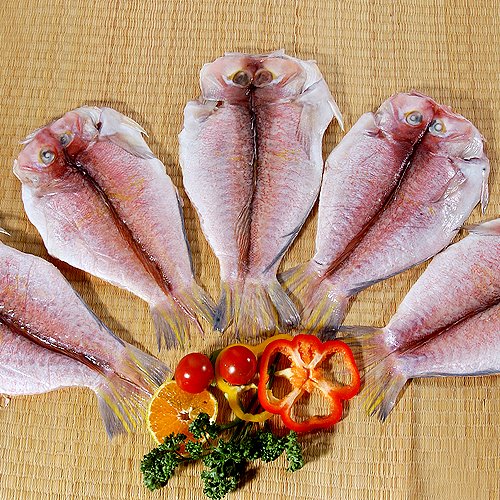 제주 참옥돔 -반건조급냉-  왕특대 (마리당500g이상)  7마리